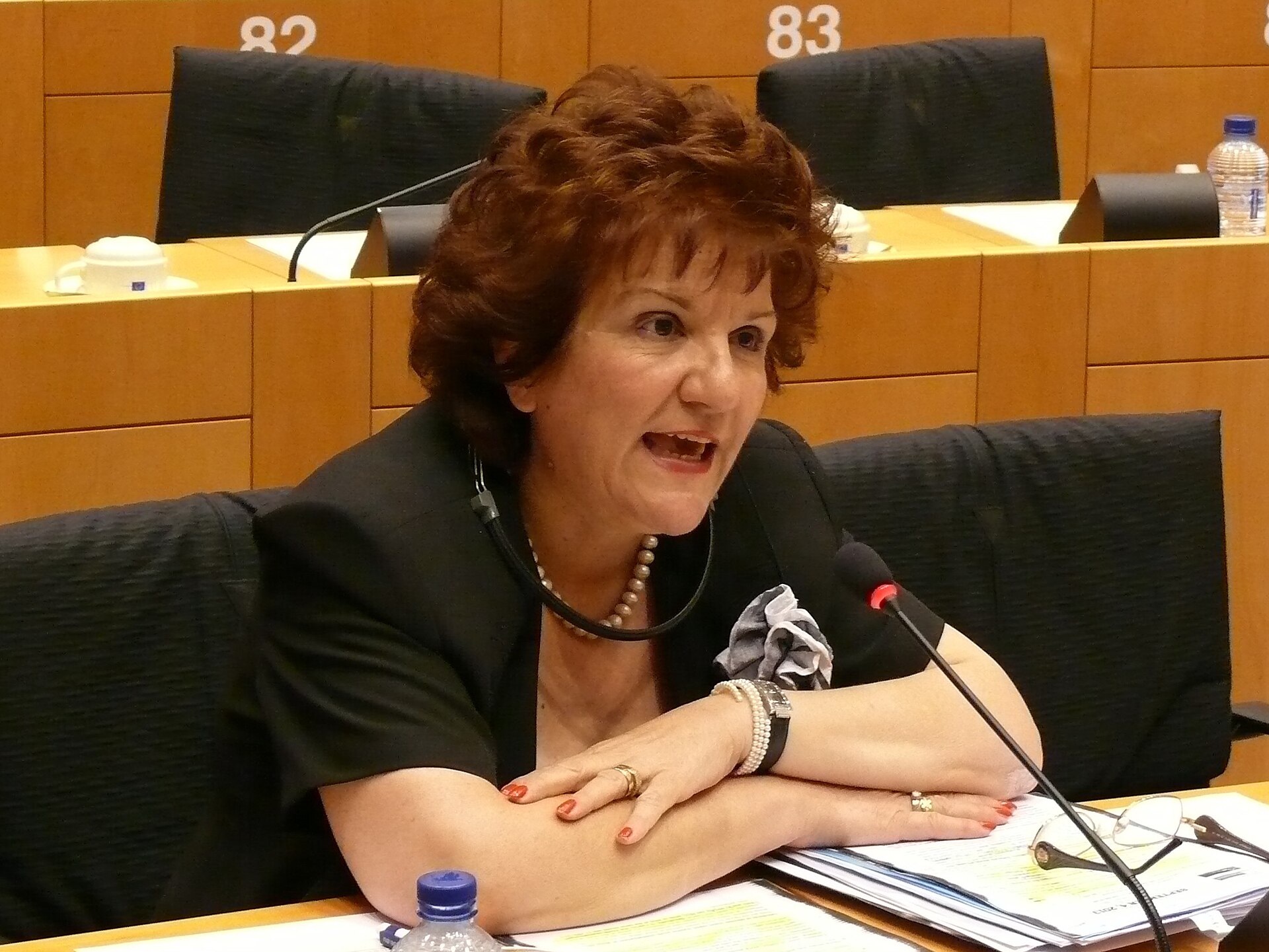 Imagem de referência relacionada a Antigoni Papadopoulou, item descrito como registro de referência sobre Antigoni Papadopoulou, organizado a partir de dados estruturados abertos
