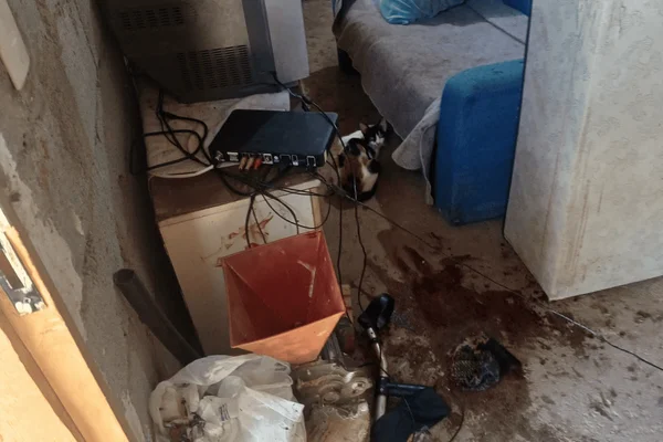 Homem é preso após esfaquear e dar pauladas nos próprios pais na Grande SP - destaque galeria