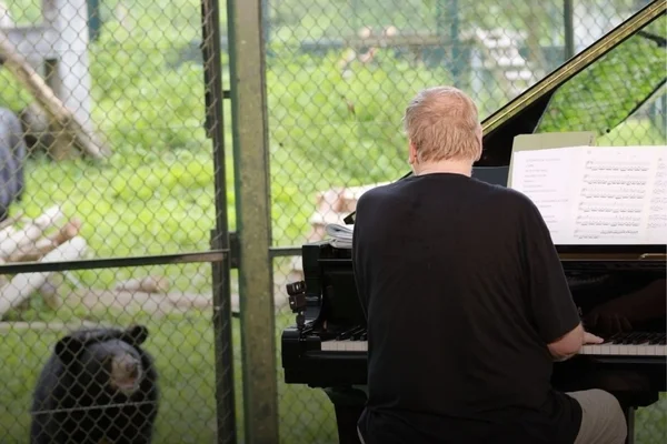 Músico faz show particular para alegrar ursos vítimas de maus-tratos