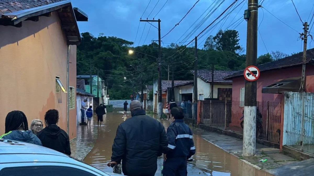 SP: chuva causa danos em 8 cidades; Marginal Tietê tem pontos de alagamento
