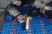 Homem é preso após esfaquear e dar pauladas nos próprios pais na Grande SP - imagem 6