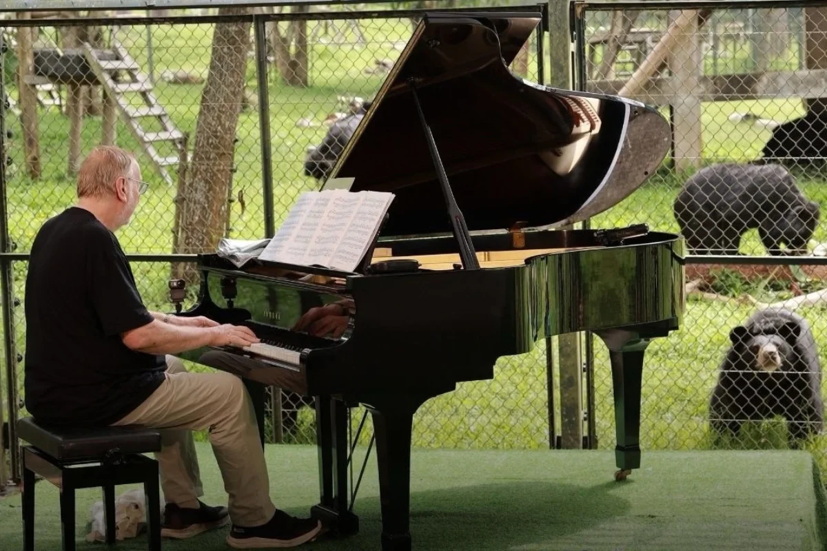 Músico faz show particular para alegrar ursos vítimas de maus-tratos