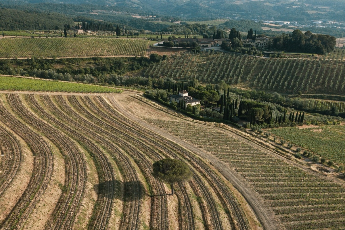 Grupo invade vinícola italiana renomada e leva 30 mil garrafas de vinho