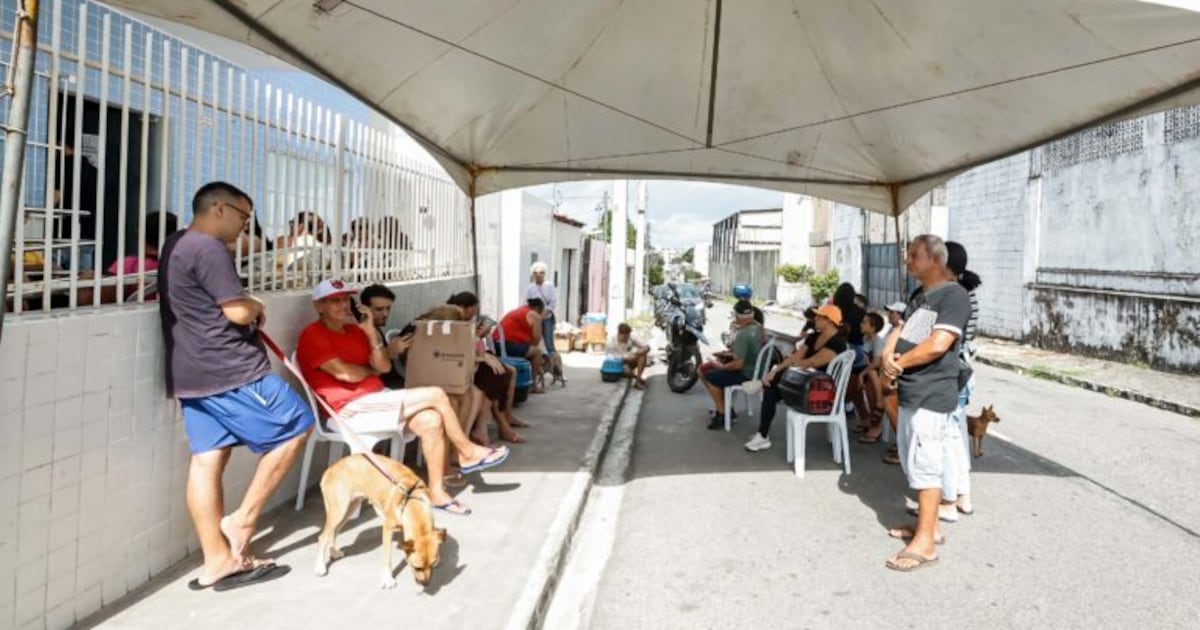 ‘Sábados de Proteção Animal’ tem número de vagas para castração de cães e gatos ampliadas